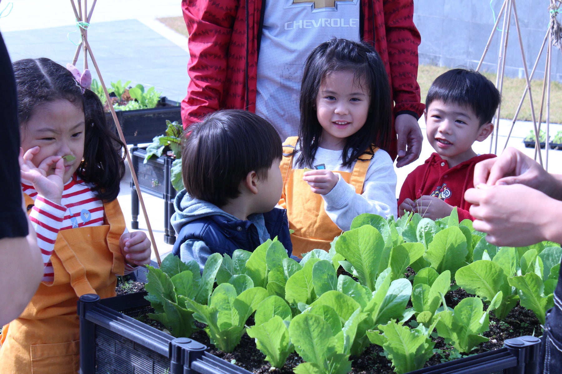 KIRRLiving: Is our society accepting urban farming? by Agnes Yeung - KIRR