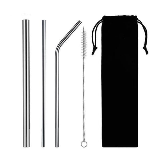 Ecoimpakt Drinkware Stainless Steel Straws Kit (Silver)