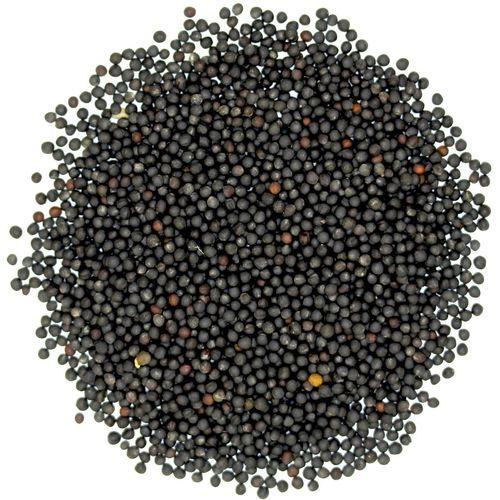KIRR Herbs & Spices Black Mustard Seeds (10g)