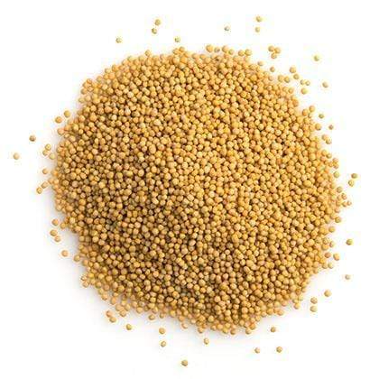 KIRR Herbs & Spices Yellow Mustard Seeds (10g)
