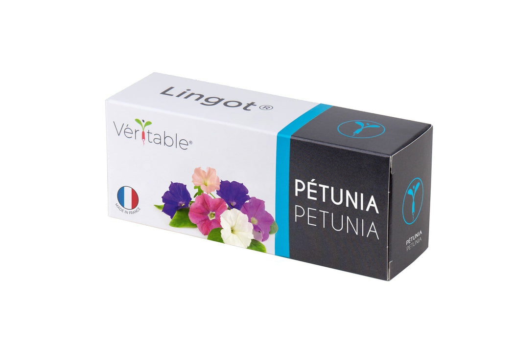 Véritable Herbs Petunias Lingot®