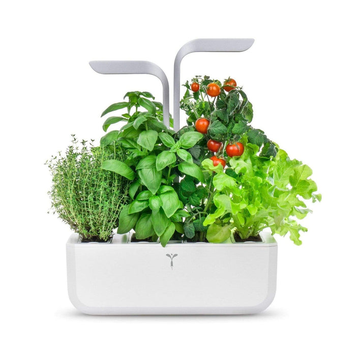 Véritable Herbs Véritable® Smart Artic White Indoor Garden