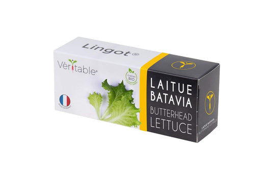 Véritable Vegetables Organic Butterhead Lettuce Lingot®